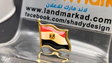 دبوس بدلة علم مصر pin suit egypt flag